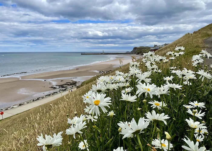 Fayvan Apartman Whitby